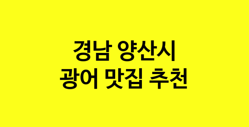 norang.Image3__800_800-172
