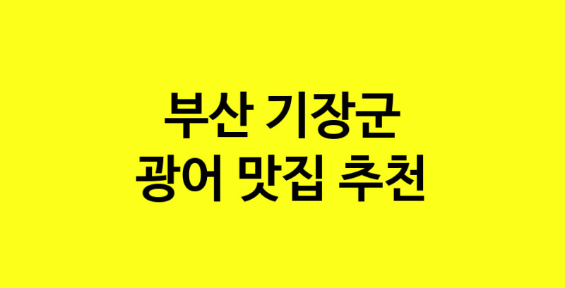 norang.Image3__800_800-214